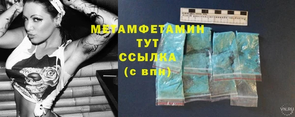 прущие грибы Горнозаводск