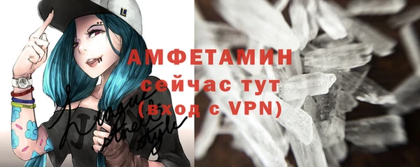 прущие грибы Горнозаводск