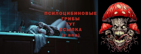 прущие грибы Горнозаводск