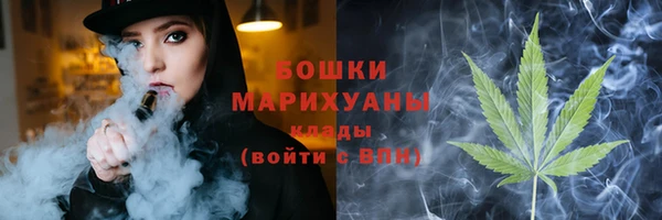 гидра Горно-Алтайск