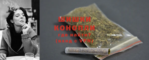 гидра Горно-Алтайск