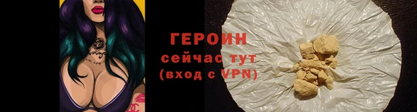 гидра Горно-Алтайск