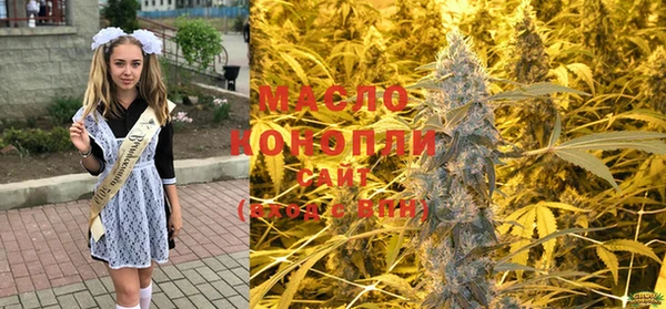 гидра Горно-Алтайск