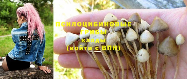 гидра Горно-Алтайск