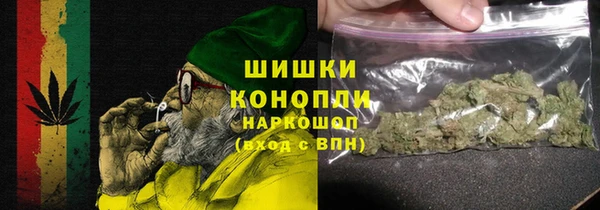 прущие грибы Горнозаводск