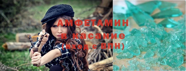 прущие грибы Горнозаводск