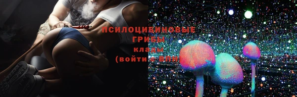 прущие грибы Горнозаводск