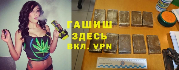 гидра Горно-Алтайск
