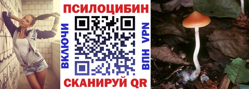 Купить закладки  Кувандык  Галлюциногенные грибы прущие грибы 